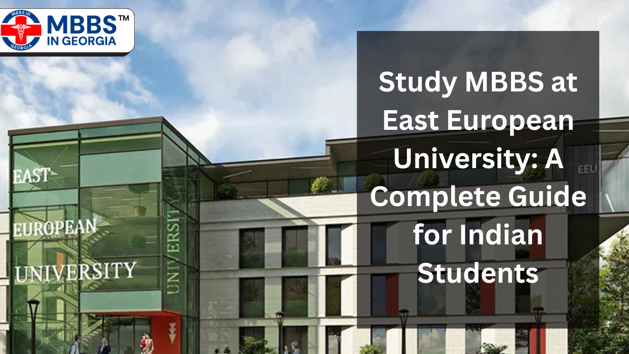 East European University